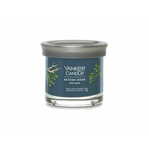 Yankee Candle Aromatická svíčka Signature tumbler malý Bayside Cedar 122 g obraz