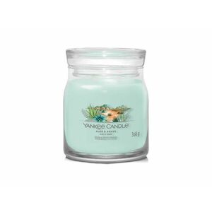 Yankee Candle Aromatická svíčka Signature sklo střední Aloe & Agave 368 g obraz