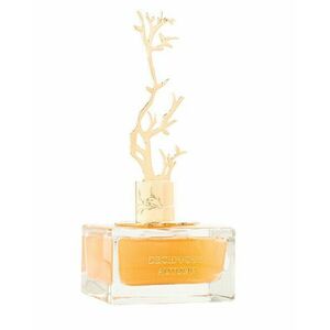 Aurora Scents Deciduous Autumn - EDP 100 ml + EDP 8 ml obraz