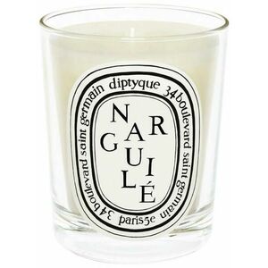 Diptyque Narguilé - svíčka 190 g obraz