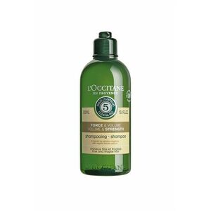 L`Occitane en Provence Šampon pro jemné a křehké vlasy Volume & Strength (Shampoo) 300 ml obraz