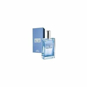 Avon Toaletní voda Individual Blue For Him 100 ml obraz