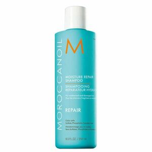 Moroccanoil Regenerační šampon s obsahem arganového oleje na slabé a poškozené vlasy (Moisture Repair Shampoo) 250 ml obraz