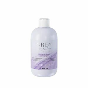 Inebrya Šampon neutralizující žluté tóny šedých a platinových vlasů Grey By Day (Shampoo) 300 ml obraz