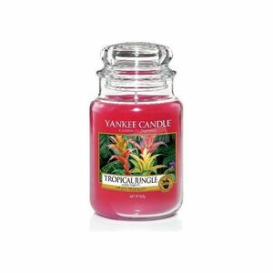 Yankee Candle Aromatická svíčka velká Tropical Jungle 623 g obraz