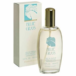 Elizabeth Arden Blue Grass - EDP 100 ml obraz