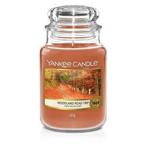 Yankee Candle Aromatická svíčka Classic velká Woodland Road Trip 623 g obraz