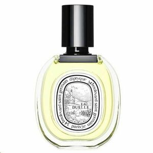 Diptyque Eau Duelle - EDT 100 ml obraz