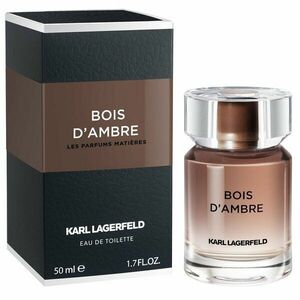 Karl Lagerfeld Bois d`Ambre - EDT 100 ml obraz