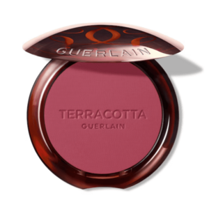 Guerlain Pudrová tvářenka Terracotta (Blush) 5 g 04 Rose Foncé obraz