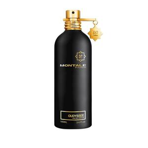 Montale Oudyssee - EDP 100 ml obraz