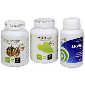 Cordyceps PREMIUM 90 kapslí obraz