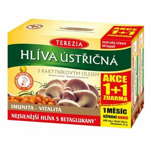 Terezia Company Hlíva ústřičná se 100% rakytníkovým olejem 60 kapslí + 60 kapslí ZDARMA obraz