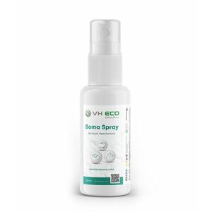 VH ECO Soma Spray 100 ml obraz