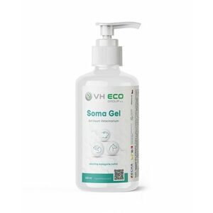 VH ECO Soma Gel 100 ml obraz