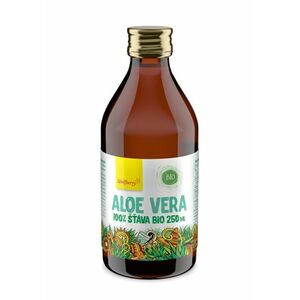 Wolfberry Aloe Vera 100% BIO šťáva 250 ml obraz