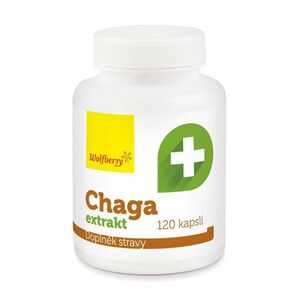 Wolfberry Chaga extrakt 120 kapslí obraz