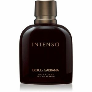 Dolce&Gabbana Pour Homme Intenso parfémovaná voda pro muže 200 ml obraz