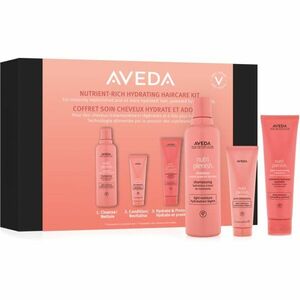 Aveda Nutriplenish™ Hydrating Haircare Kit dárková sada (na vlasy) obraz