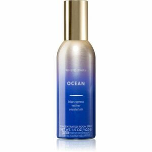 Bath & Body Works Ocean bytový sprej 42, 5 g obraz