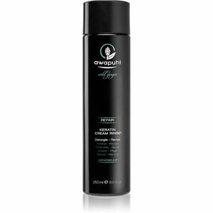 Paul Mitchell Awapuhi Wild Ginger vyživující kondicionér pro všechny typy vlasů 250 ml obraz