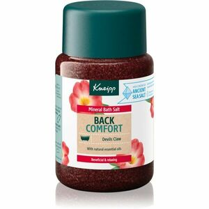 Kneipp Back Comfort sůl do koupele 500 g obraz