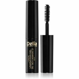 Delia Cosmetics Eyebrow Expert gel na obočí odstín 1.0 Black 4 ml obraz