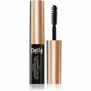 Delia Cosmetics Eyebrow Expert gel na obočí odstín 4.0 Brown 4 ml obraz