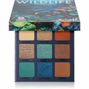 Barry M Wildlife Ocean paletka očních stínů 10, 8 g obraz