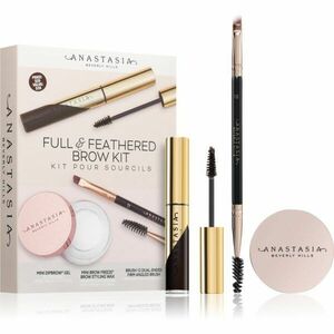 Anastasia Beverly Hills Full & Feathered Brow Kit Mini sada na obočí Ebony odstín obraz