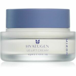 Mizon Hyalugen Le Lift Cream vyhlazující protivráskový krém pro výživu pleti a udržení její přirozené hydratace 50 ml obraz