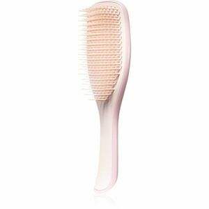 Tangle Teezer Ultimate Detangler Fine & Fragile kartáč pro křehké vlasy typ Pink 1 ks obraz