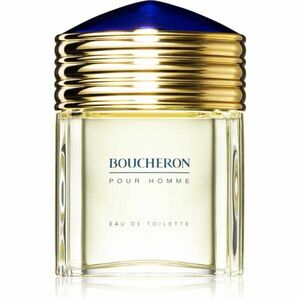 Boucheron Pour Homme toaletní voda pro muže 100 ml obraz