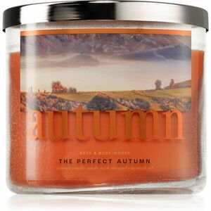 Bath & Body Works Autumn vonná svíčka 411 g obraz