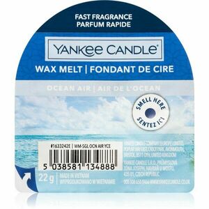 Yankee Candle Ocean Air vosk do aromalampy 22 g obraz