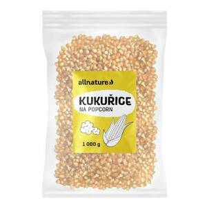 ALLNATURE Kukuřice na popcorn 1000 g obraz