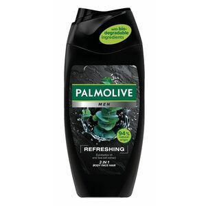 PALMOLIVE Men Refreshing sprchový gel 3v1 pro muže 250 ml obraz