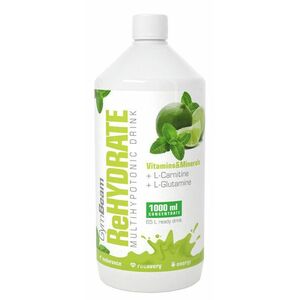 GYMBEAM ReHydrate mojito 1000 ml obraz