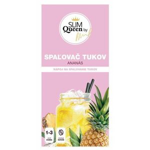 SLIM QUEEN Nápoj na spalování tuků Ananas, 75 g obraz