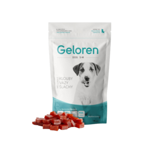 GELOREN Dog S-M 60 tablet obraz