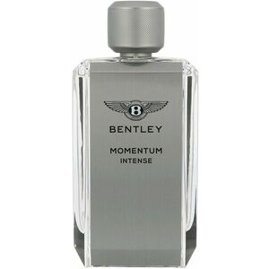 BENTLEY Momentum Intense 100 ml obraz