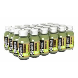 VANAVITA BIO Zázvorový shot s matcha 24 x 60 ml obraz