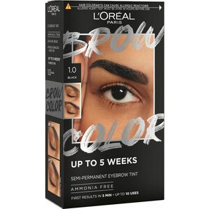 L'ORÉAL PARIS Brow Color 1.0 Black semi-permanentní barva na obočí obraz