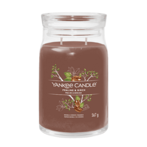 YANKEE CANDLE Signature sklo 2 knoty, Praline & Birch 567 g obraz