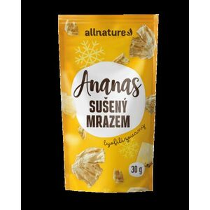 Sušený ananas obraz