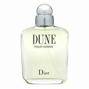 Dior (Christian Dior) Dune pour Homme toaletní voda pro muže 100 ml obraz