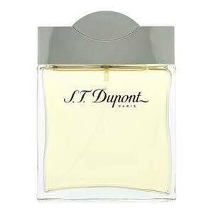 S.T. Dupont S.T. Dupont for Men toaletní voda pro muže 100 ml obraz