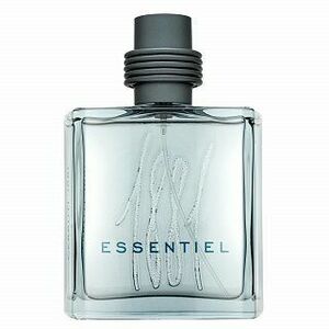 Cerruti 1881 Essentiel toaletní voda pro muže 100 ml obraz