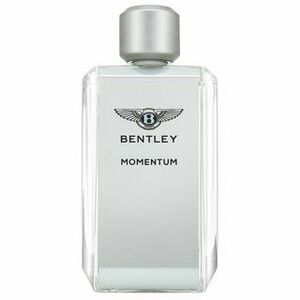 Bentley Momentum toaletní voda pro muže 100 ml obraz