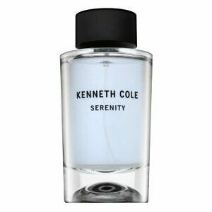 Kenneth Cole Serenity toaletní voda pro muže 100 ml obraz